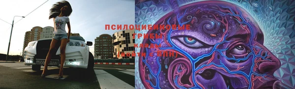 apvp Навашино